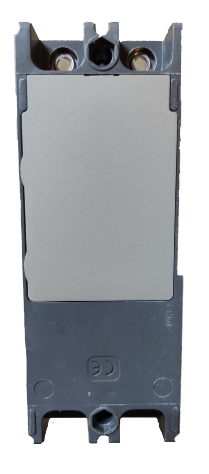 Schneider 100A 2 Pole Breaker Industrial Easy Pact electrical circuitry part in gray and black