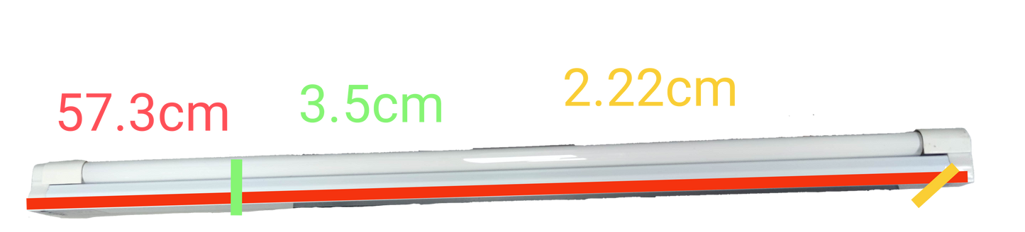 T5 colored fluorescent lamp 220V by Firefly & China showing length and diameter measurements