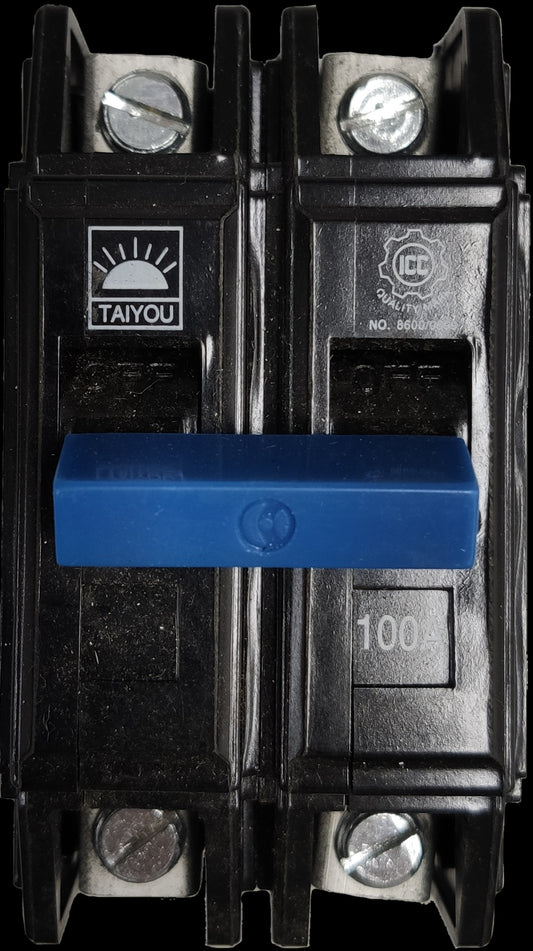 Taiyou 100A 2 pole circuit breaker with blue switch and black casing for electrical protection