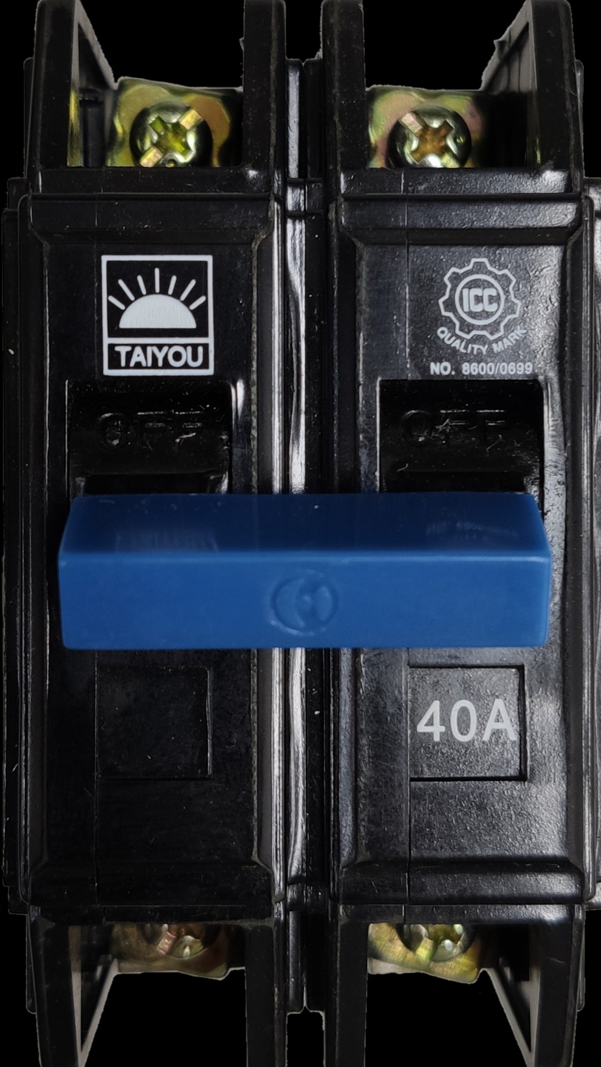 Taiyou 40A 2 pole circuit breaker with black body and blue switch for electrical safety