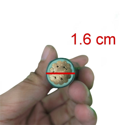 Cross-section of Phelps Dodge THHN and wires showcasing copper strands in a 1.6 cm diameter cable