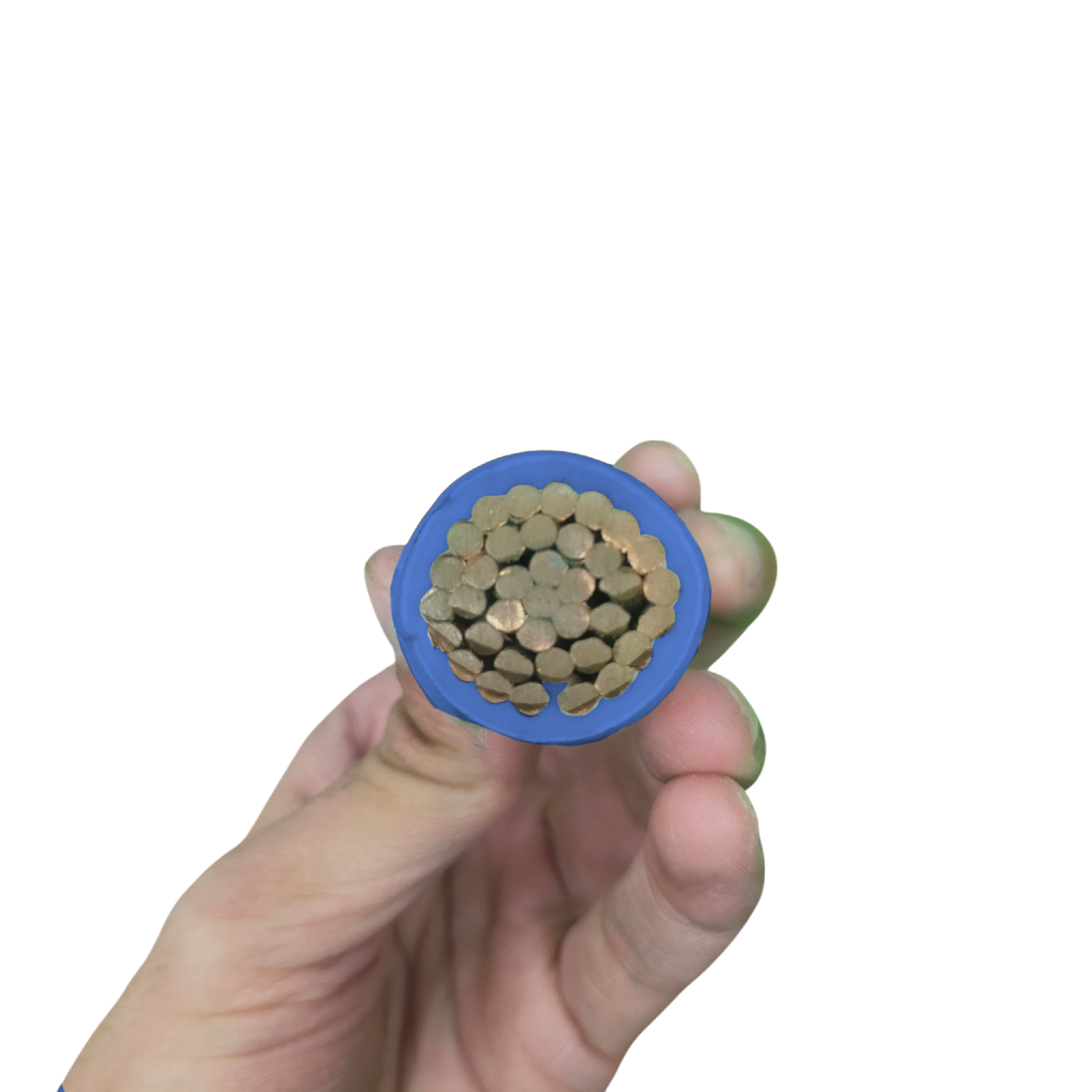 Phelps Dodge THHN Wire with multiple copper conductors in blue insulation for electrical applications