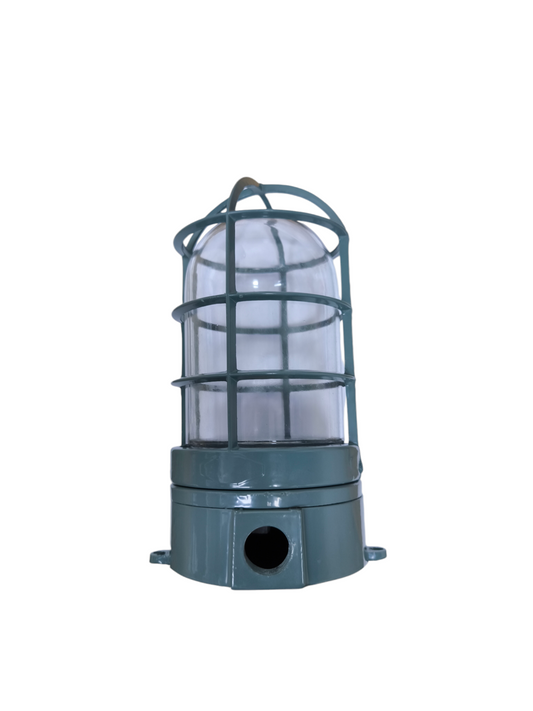 VPL Vapor Lamp E27 with Glass Cover and protective metal cage for lighting installation accessories