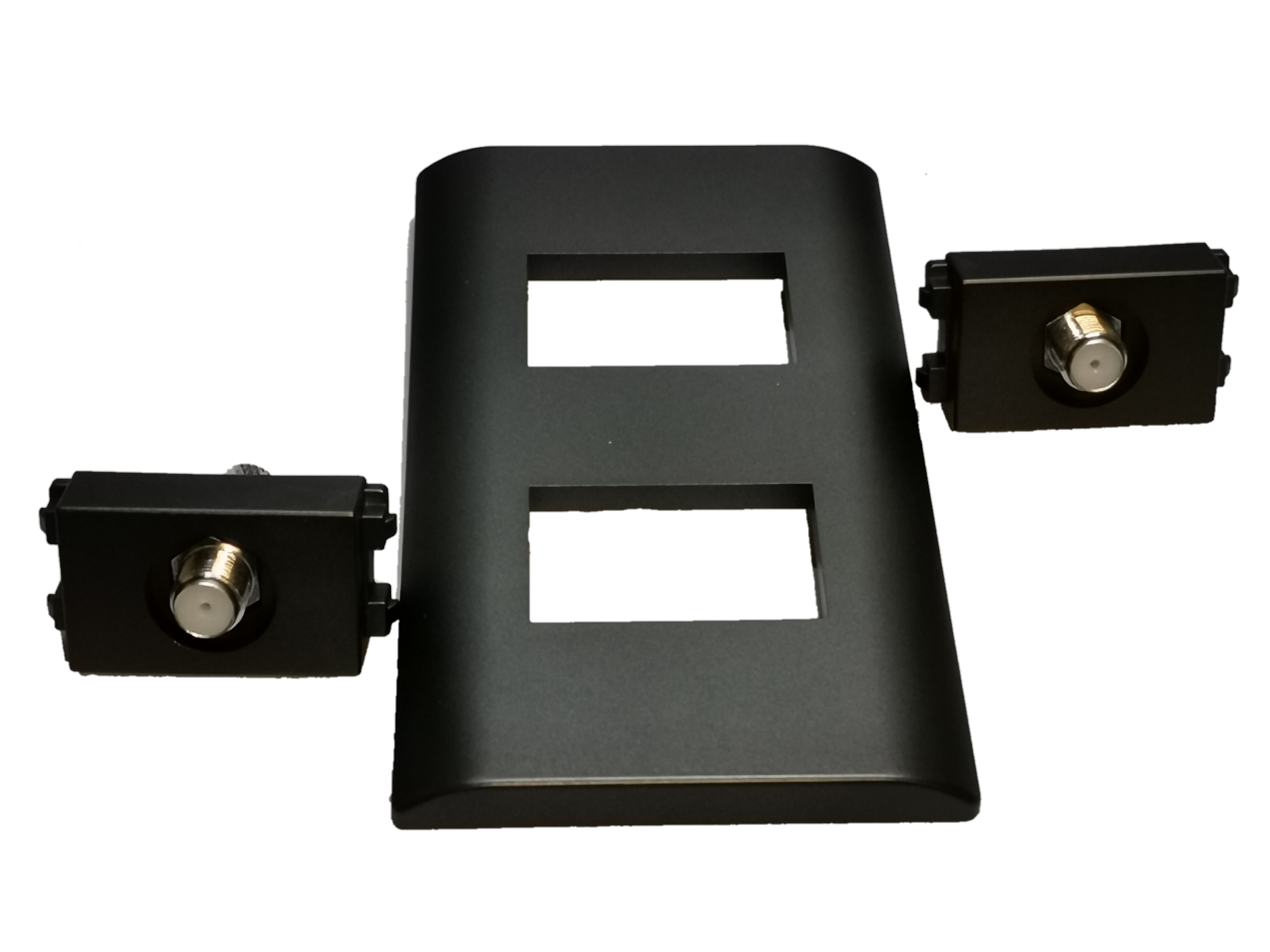 Electx Electrical Supply 2 gang cable TV outlet with black faceplate and dual connectors